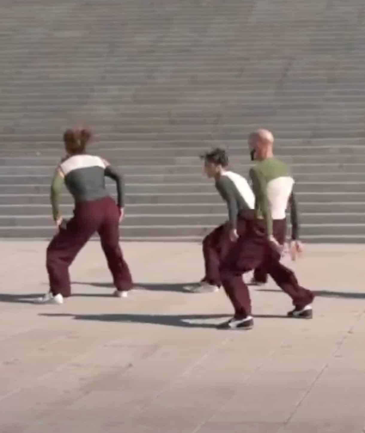 COLECTIVO PREMOHS bailando