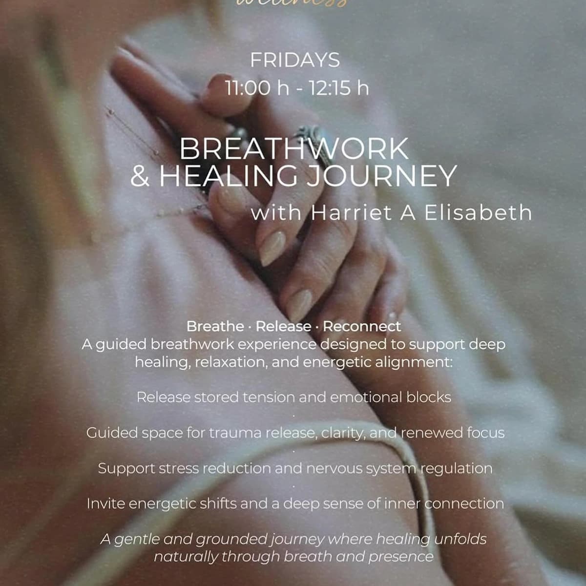 Imagen del cartel del evento