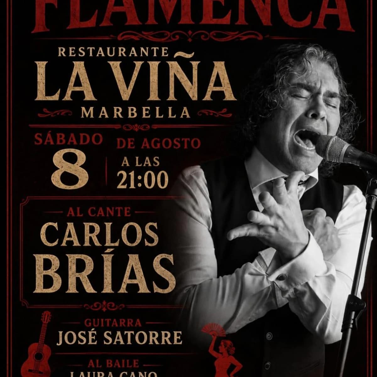 Cartel de Noche Flamenca en Restaurante La Viña Marbella con Carlos Brías al cante, José Satorre a la guitarra y baile de Laura Cano, Susana Solera y Azahara Alcaine.