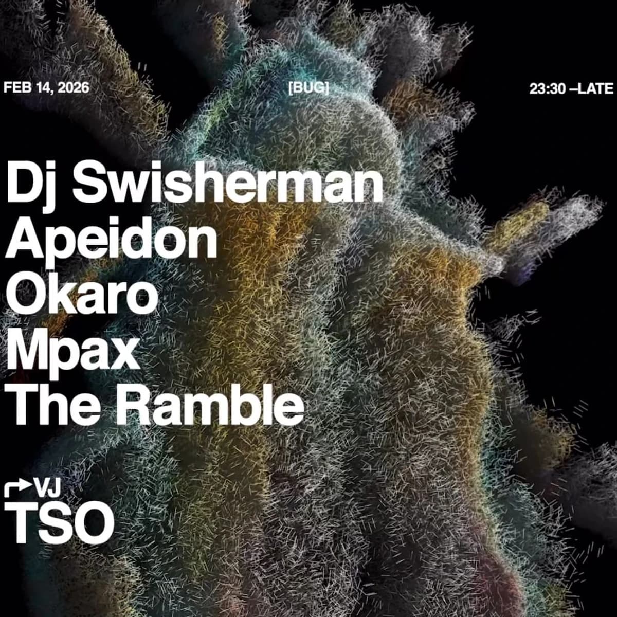 DJ Swisherman actuando en vivo en True Club Torremolinos en 2026